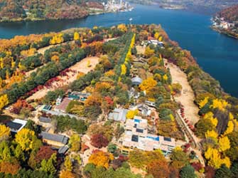 [Small Group Tour] Nami Island and The Garden of Morning Calm