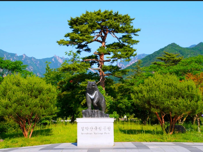설악산 입구사진.jpg