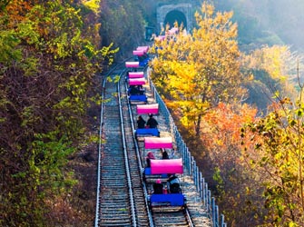 [Small Group Tour] Nami Island, The Garden of Morning Calm and Railbike