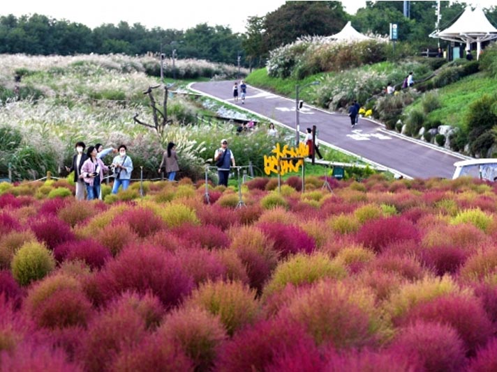 상세사진 복사 7.jpg
