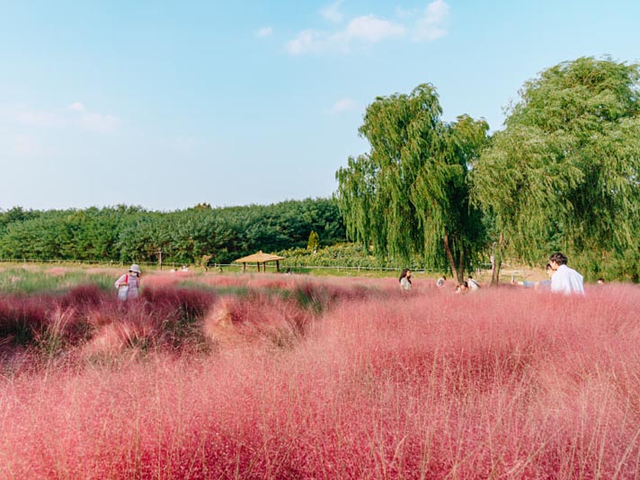 상세사진 복사 8.jpg